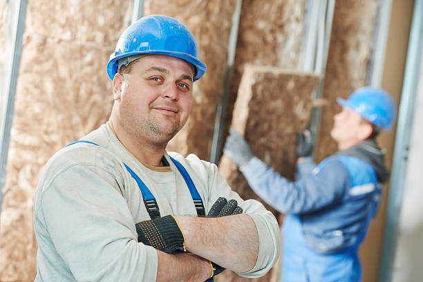 Best Insulation Maintenance and Repair in Pontoon Beach, IL